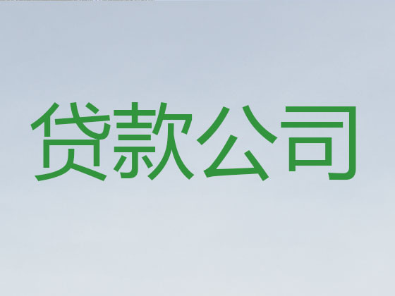 林芝市信用贷款